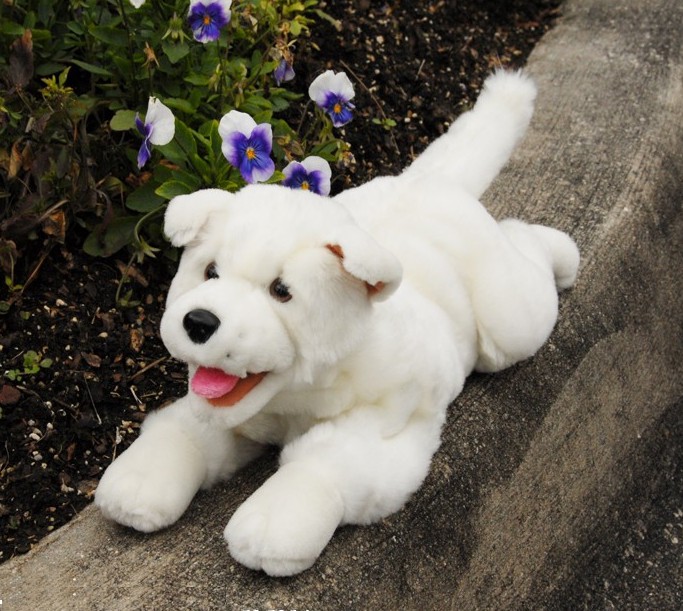 (image for) White Puppy