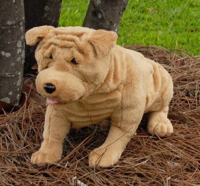 (image for) Shar Pei