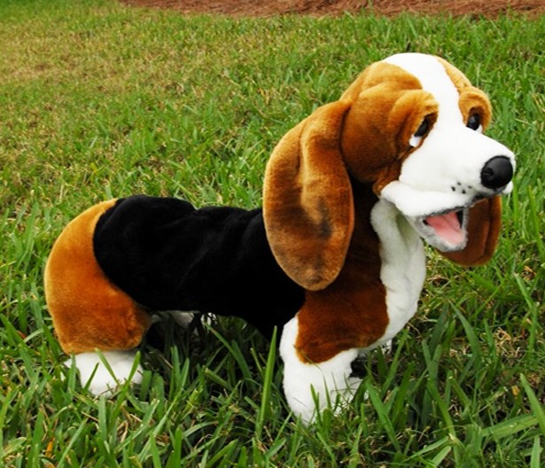 (image for) Bassett Hound